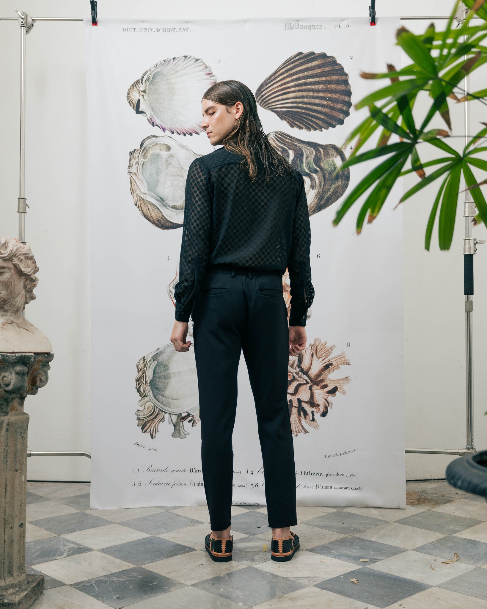 ROSA NEGRA Shirt