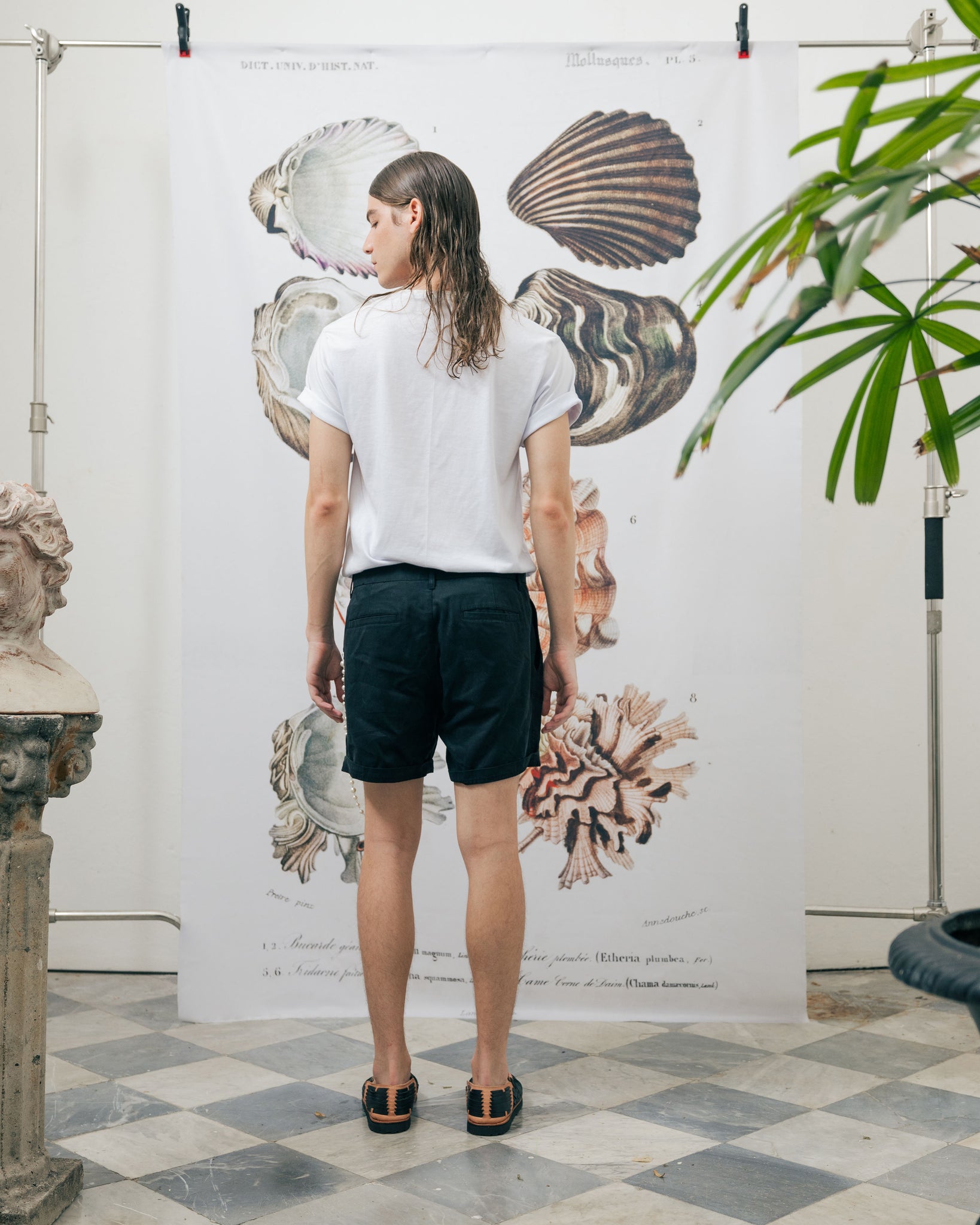 VENUS T.Shirt