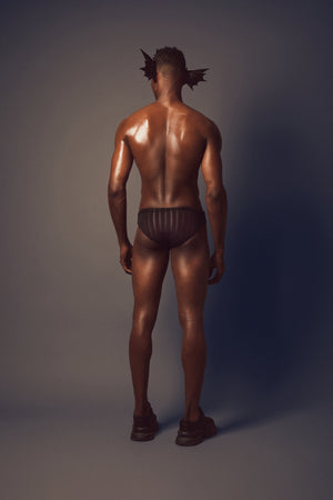 ORFEO Swimbrief