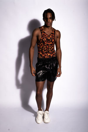 FLAMES Body