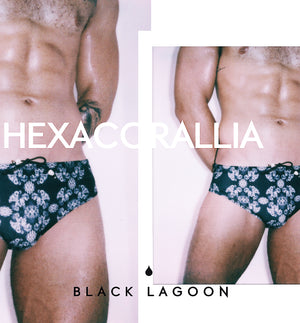 HEXACORALLIA